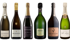 Champagne Premium Tasting Case