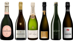 Champagne Premium Tasting Case
