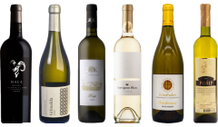 Croatian White Wine Tasting Case