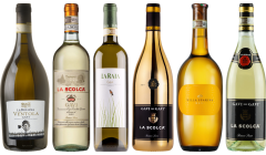 Gavi Tasting Case