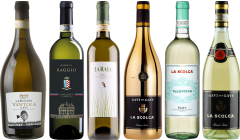 Gavi Tasting Case