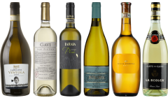 Gavi Tasting Case