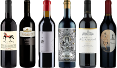 Georgian Saperavi Premium Tasting Case