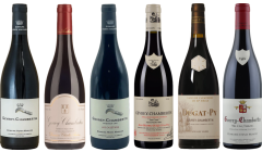 Gevrey Chambertin Tasting Case