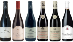 Gevrey Chambertin Tasting Case