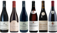 Gevrey Chambertin Tasting Case