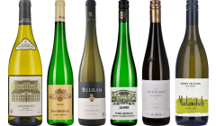 Gruner Veltliner Premium Tasting Case
