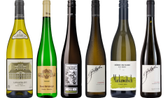 Gruner Veltliner Premium Tasting Case