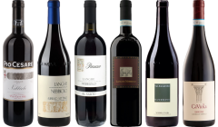 Langhe Nebbiolo Premium Tasting Case
