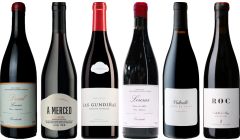 Mencia Premium Tasting Case