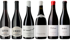 Mencia Premium Tasting Case