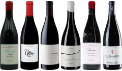 Mencia Premium Tasting Case
