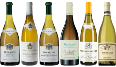 Meursault Tasting Case
