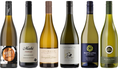 New Zealand Sauvignon Blanc Premium Tasting Case
