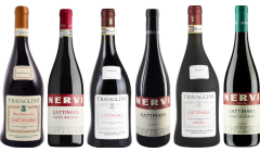 Piemonte Gattinara Premium Tasting Case