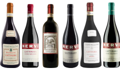 Piemonte Gattinara Premium Tasting Case