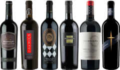 Primitivo Premium Tasting Case
