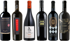 Primitivo Premium Tasting Case
