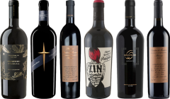 Primitivo Premium Tasting Case