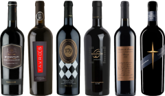 Primitivo Premium Tasting Case