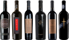 Primitivo Premium Tasting Case