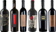 Primitivo Premium Tasting Case