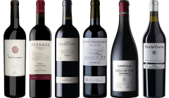 Priorat Premium Tasting Case