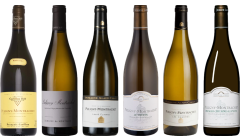 Puligny-Montrachet Tasting Case