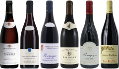Red Burgundy Tasting Case