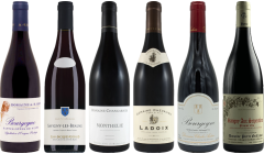 Red Burgundy Tasting Case