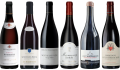 Red Burgundy Tasting Case