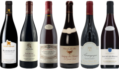Red Burgundy Tasting Case