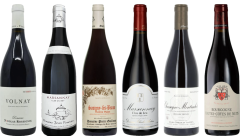 Red Burgundy Tasting Case