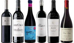 Ribera del Duero Premium Tasting Case