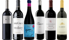 Ribera del Duero Premium Tasting Case