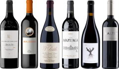 Ribera del Duero Premium Tasting Case