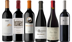 Ribera del Duero Premium Tasting Case