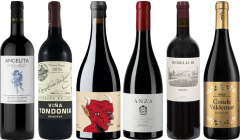 Rioja Premium Tasting Case