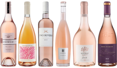 Rose Premium Tasting Case
