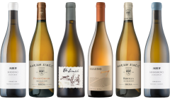 Slovenian White Wine Premium Tasting Case