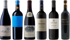 South African Red Wine Premium Tasting Case