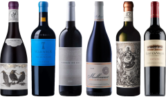 South African Red Wine Premium Tasting Case