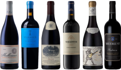 South African Red Wine Premium Tasting Case
