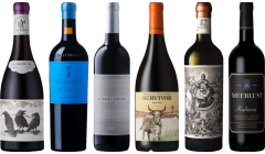 South African Red Wine Premium Tasting Case