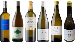 Spanish White Wine Premium Tasting Case
