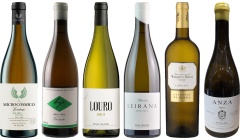 Spanish White Wine Premium Tasting Case