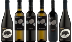 Thaya Decanter Selection Premium Tasting Case