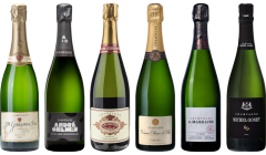 Top Value Champagne Tasting Case
