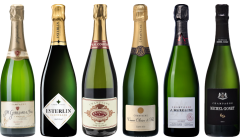 Top Value Champagne Tasting Case