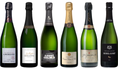Top Value Champagne Tasting Case